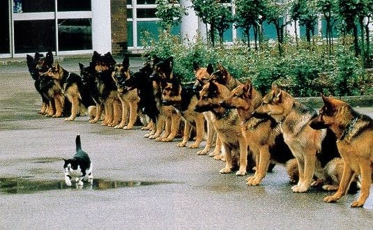 '(...)E a quem jurou que não entrariam no seu repouso, senão aos que foram desobedientes?'  Hebreus 3:18